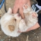 대표 사진