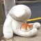 대표 사진