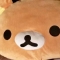 대표 사진