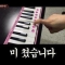 대표 사진