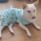 대표 사진