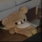 대표 사진