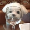 대표 사진