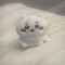 대표 사진