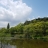 대표 사진