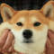 대표 사진