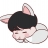 대표 사진