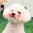 대표 사진