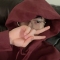 대표 사진
