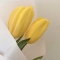 대표 사진