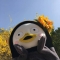 대표 사진