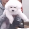 대표 사진