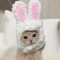 대표 사진