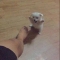 대표 사진