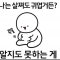 대표 사진
