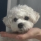 대표 사진