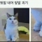 대표 사진