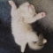 대표 사진