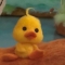 대표 사진
