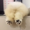 대표 사진