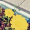 대표 사진