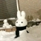 대표 사진