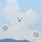 대표 사진