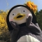 대표 사진