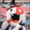 대표 사진