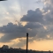 대표 사진