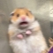 대표 사진