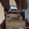 대표 사진