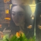 대표 사진