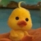 대표 사진
