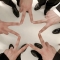 대표 사진