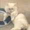 대표 사진