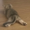 대표 사진