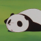 대표 사진