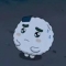 대표 사진