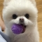 대표 사진