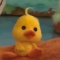 대표 사진