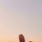 대표 사진