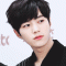 대표 사진