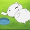 대표 사진
