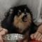 대표 사진