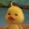 대표 사진