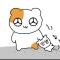 대표 사진