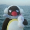 대표 사진