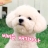 대표 사진
