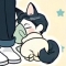 대표 사진